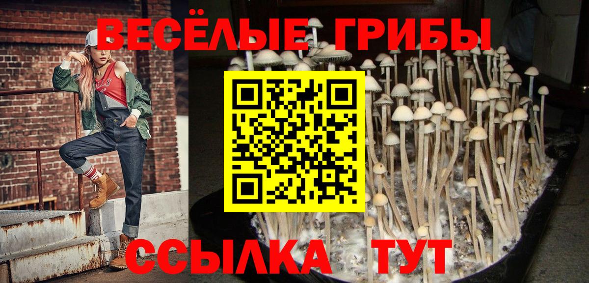 Галлюциногенные грибы MAGIC MUSHROOMS Заводоуковск