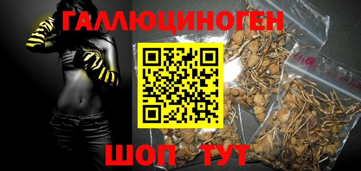 Заводоуковск  Галлюциногенные грибы ЛСД  Вход с VPN 